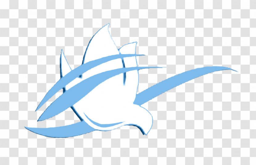 Community Evangelical Wonders Of Christ Drawing /m/02csf Marine Mammal Clip Art - Cartoon - Bon Jovi Logo Transparent PNG
