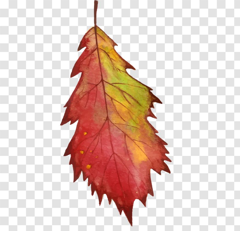 Drawing Vector Graphics Watercolor Painting Image - Twig - Autumn Leaves Wreath Transparent PNG