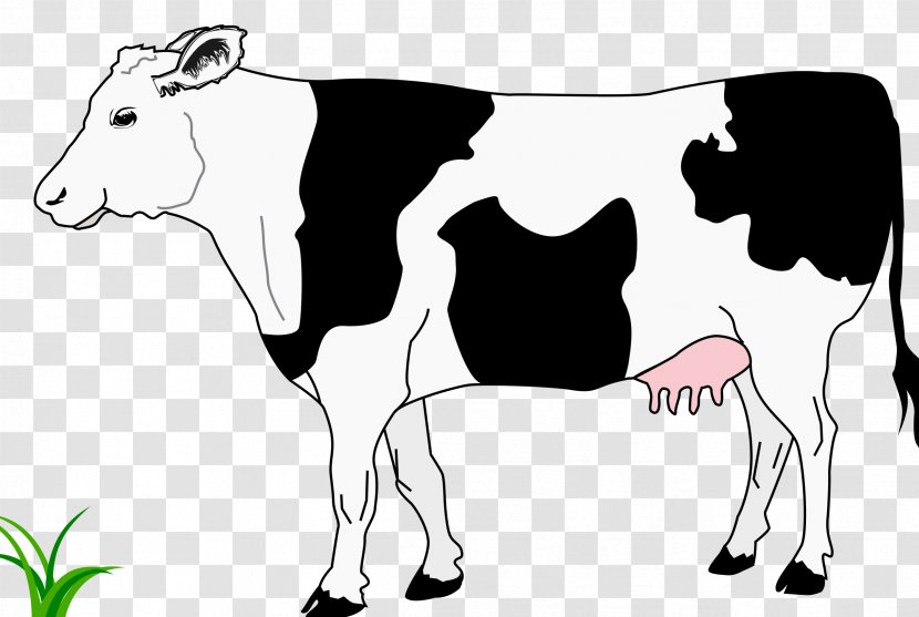 Hereford Cattle White Park Calf Ox Clip Art - Silhouette - Cow Transparent PNG
