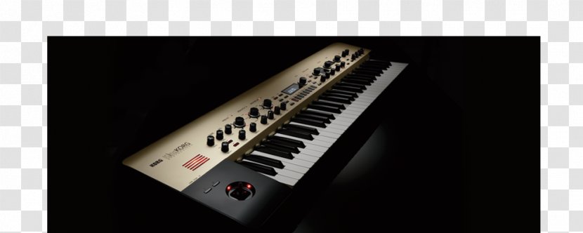 Digital Piano Nord Electro Korg MS-20 Musical Keyboard Electric - Frame - Instruments Transparent PNG