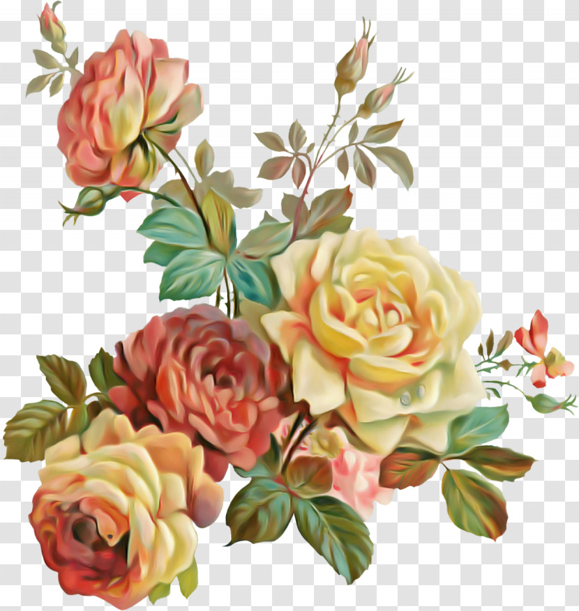 Garden Roses Transparent PNG