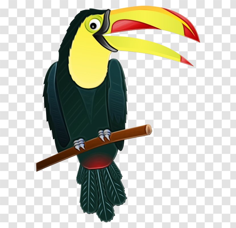 Toucan Bird Beak Hornbill Piciformes - Coraciiformes Transparent PNG
