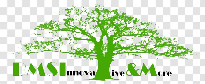Logo Green Leaf Plant Stem Font - Grass - Launching Soon Transparent PNG