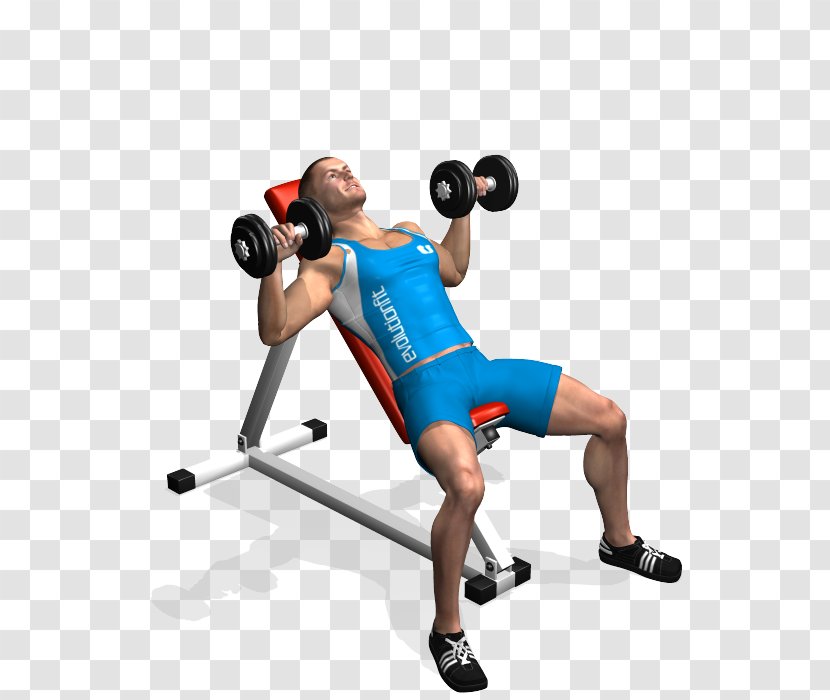 Weight Training Bench Press Barbell Dumbbell - Boxing Glove Transparent PNG