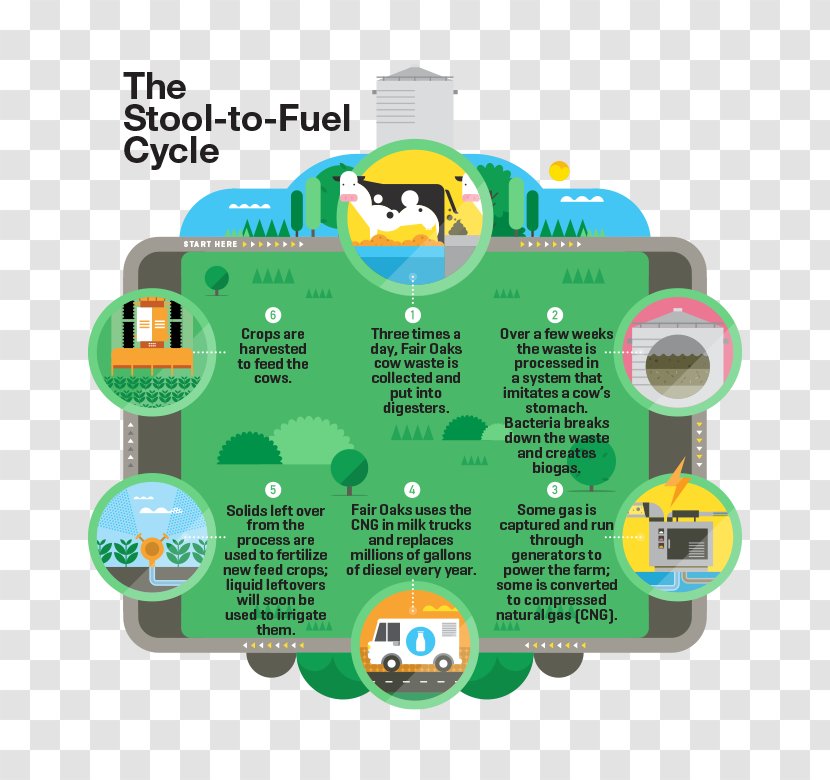 Cattle Anaerobic Digestion Renewable Natural Gas Dairy Farming - Fair Oaks - Unhealthy Eating Habits Transparent PNG