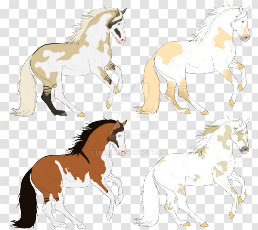 Mustang Pony Foal Stallion /m/02csf - Liver Transparent PNG