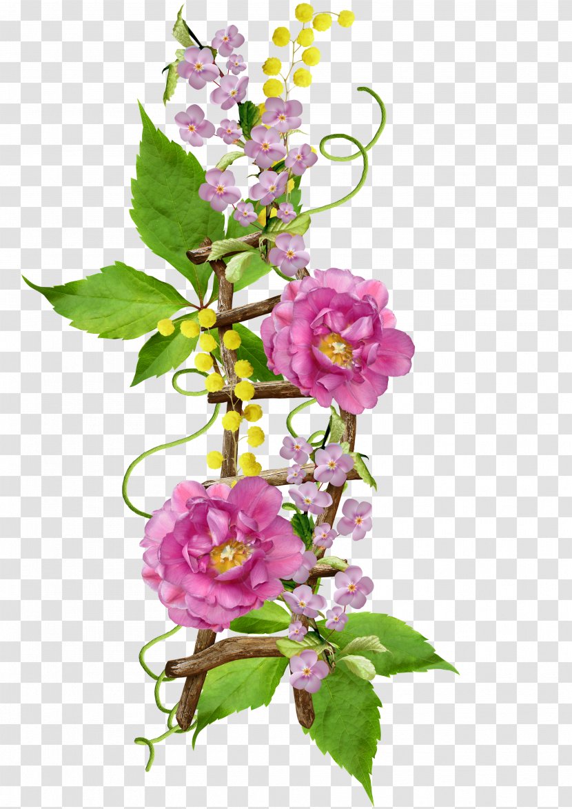 Flower - Pink - Ladder Transparent PNG