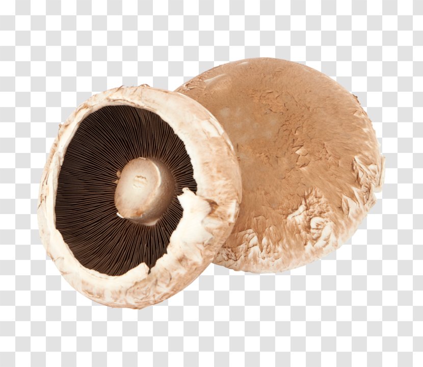 Common Mushroom Malta Warehouse Price - Recipe Transparent PNG