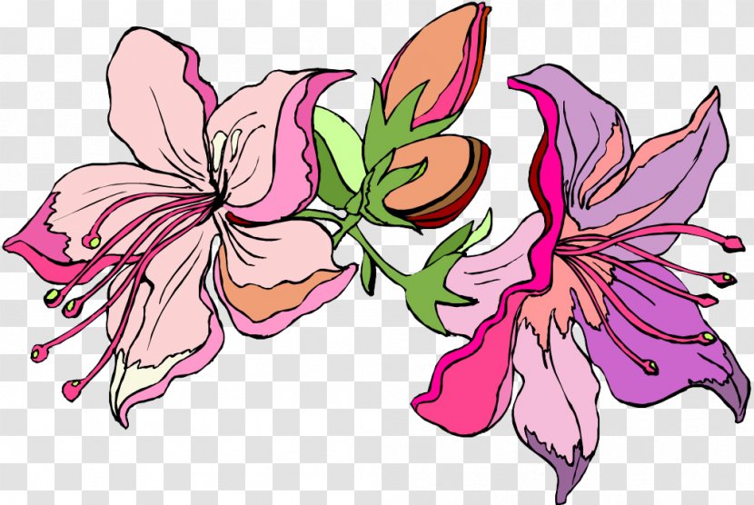 Floral Design Lilium Clip Art - Artwork - Lily Transparent PNG