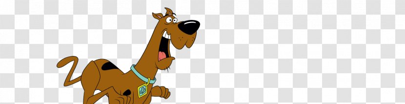 Cartoon Network Arabic Horse YouTube - Scoobydoo Show Transparent PNG