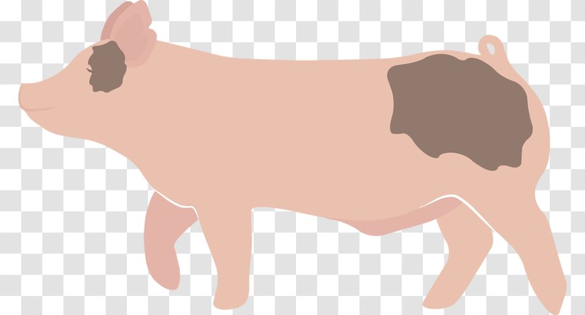 Domestic Pig Cattle Clip Art - Tree Transparent PNG