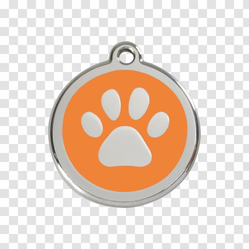 Dog Cat Dingo Puppy Kitten - Paw Prints Transparent PNG