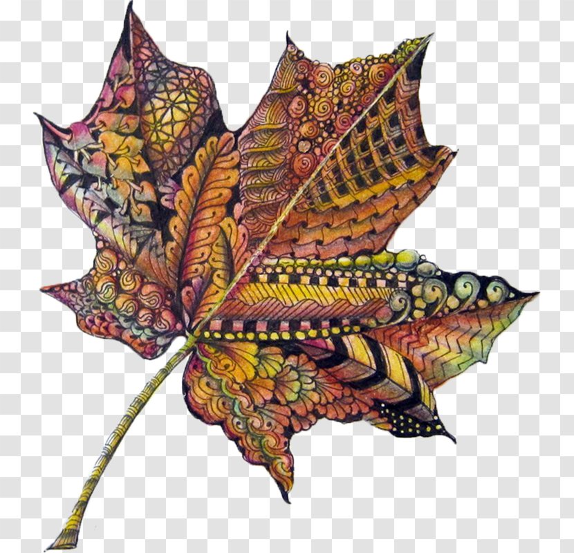 Autumn Leaf Color Drawing Transparent PNG