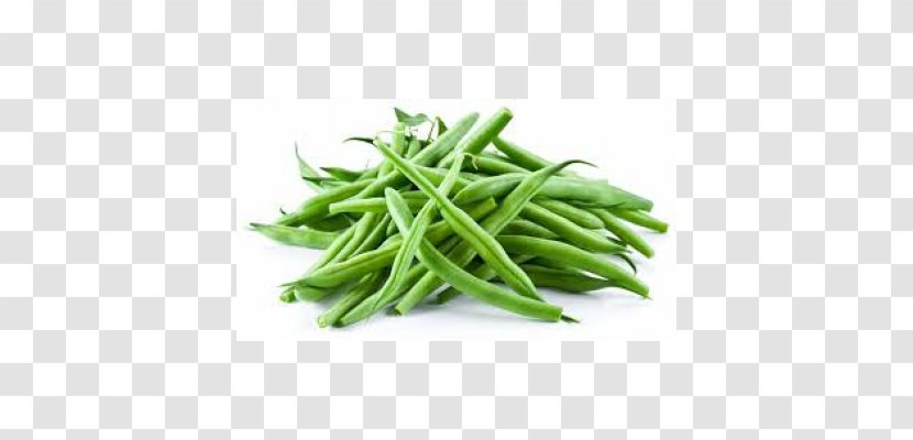 Green Bean Vegetable Common Nutrient Nutrition - Lima Transparent PNG
