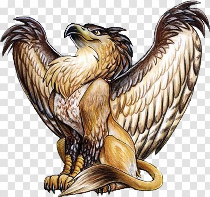 Griffin Lion Legendary Creature Dragon Werewolf - Hawk Transparent PNG