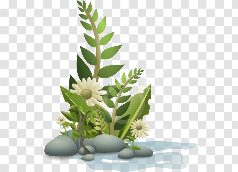 Aquatic Plants Clip Art - Cartoon - Memorial Wreath Cliparts Transparent PNG