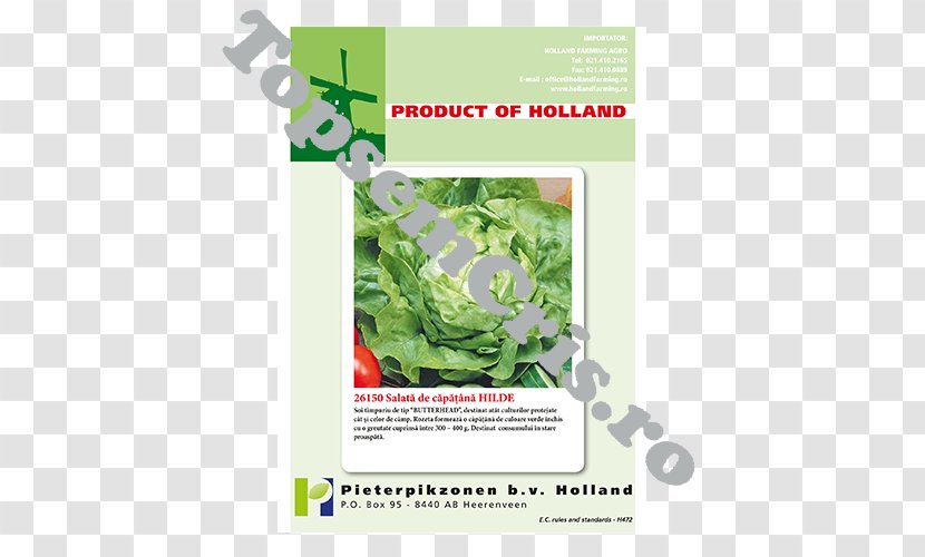 Herbicide Weed Pesticide Fungicide Agriculture - Salata Transparent PNG
