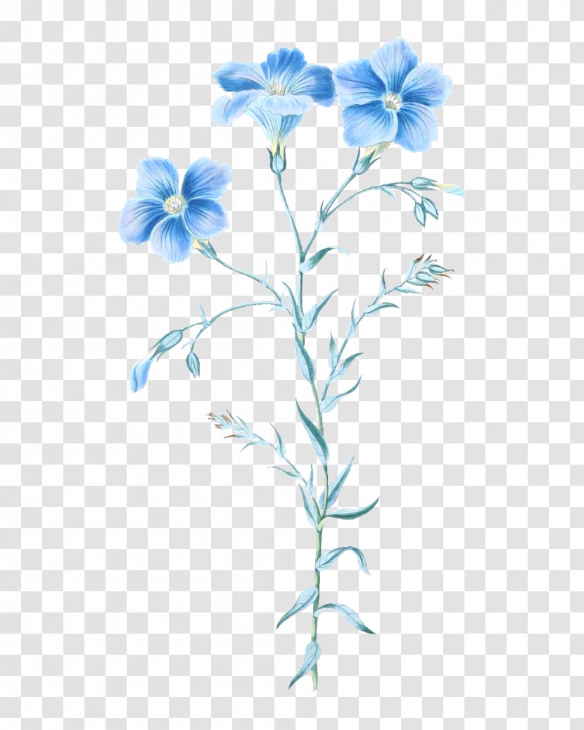 Watercolor: Flowers Floral Design Illustration - Watercolor - Hand Painted Phone Transparent PNG