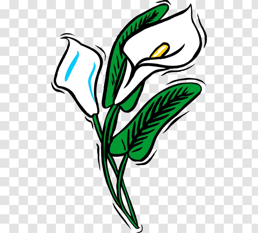 Flower Line Art Plant Stem Clip Transparent PNG