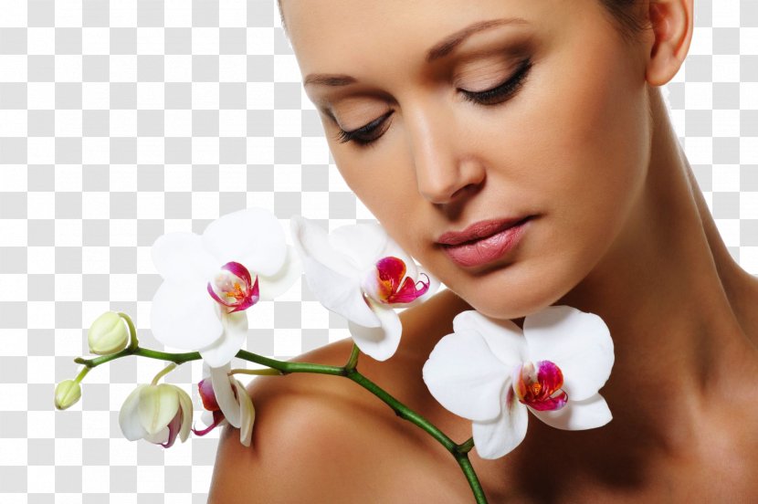 Aesthetics Cosmetics Plastic Surgery Beauty Parlour - Lip - Dove Transparent PNG