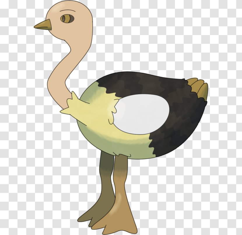 Common Ostrich Illustration Fauna Product Design Cartoon - Flightless Bird - Chick Transparent PNG