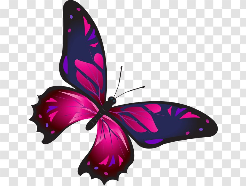 Butterfly Nail Clip Art - Monarch Transparent PNG