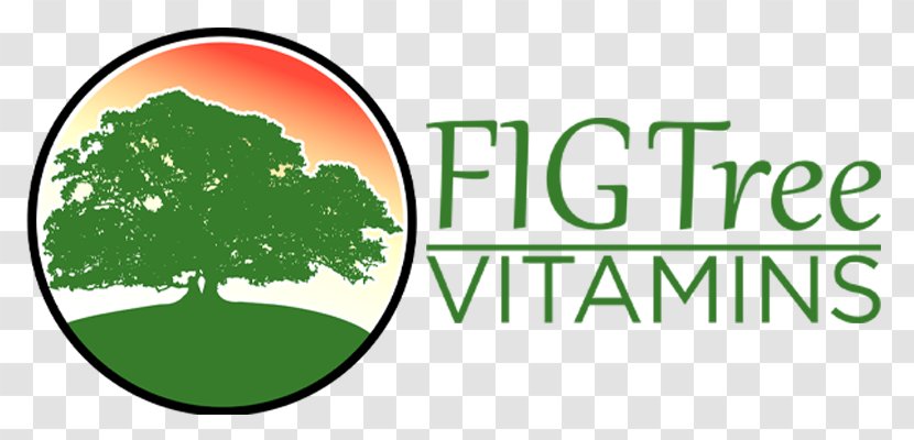 Health Human Behavior Logo Brand - Facebook - Fig Tree Transparent PNG