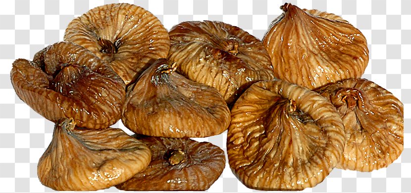 Common Fig Food Drying Dried Fruit Sycamore Wasp - Medicinal Mushroom - Dry Transparent PNG