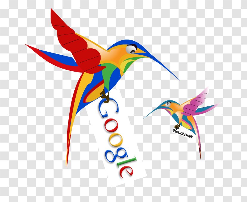 Google Hummingbird Search PageRank Algorithm - Feather Transparent PNG