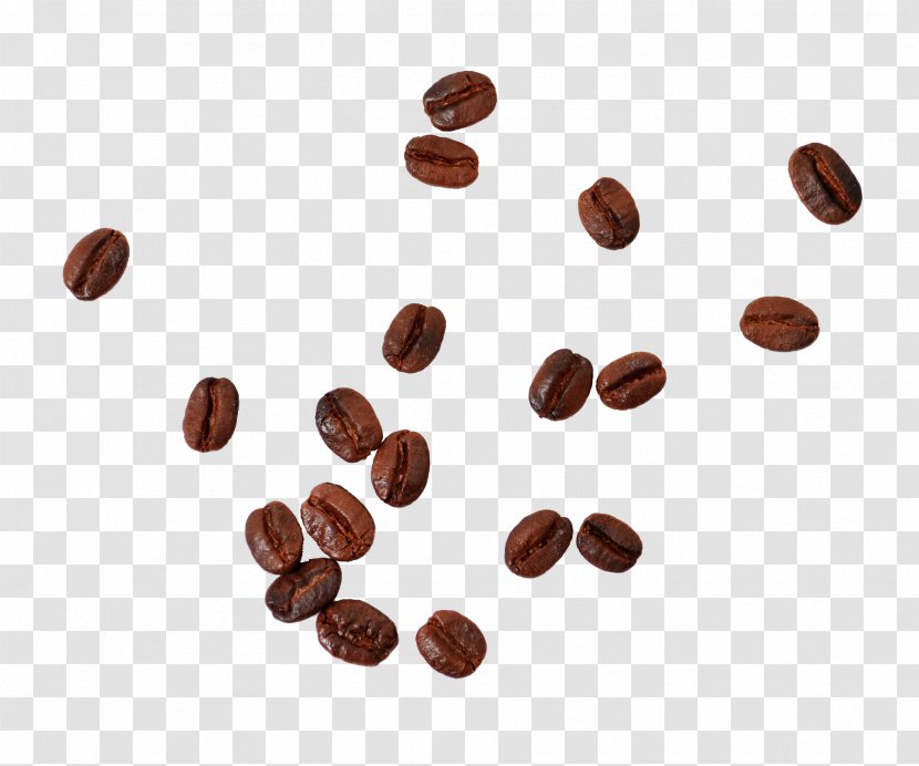 Coffee Bean Cafe Instant - Extract - Scattered Beans Transparent PNG