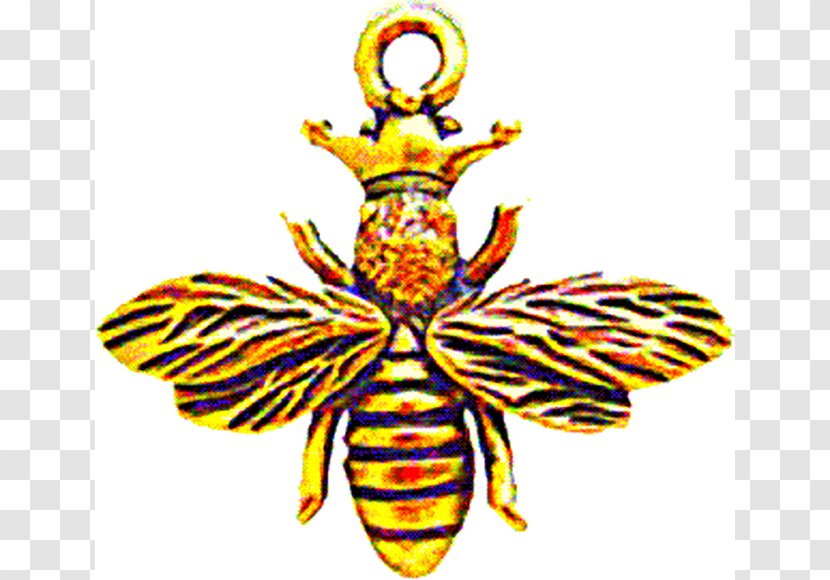 Honey Bee Drawing Art - Tree - Iluminati Transparent PNG