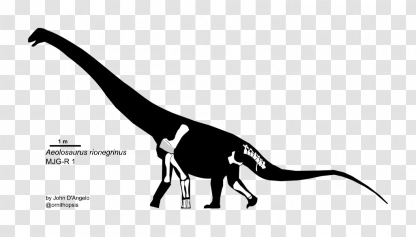 Aeolosaurus Homo Sapiens Titanosaurus Ornithopsis Dinosaur - Eotriceratops Transparent PNG