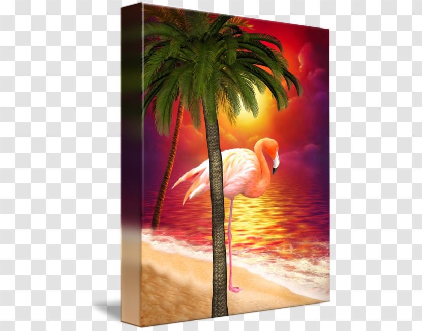 Flamingos Beach Sanibel Bird - Tree - Paradise Transparent PNG