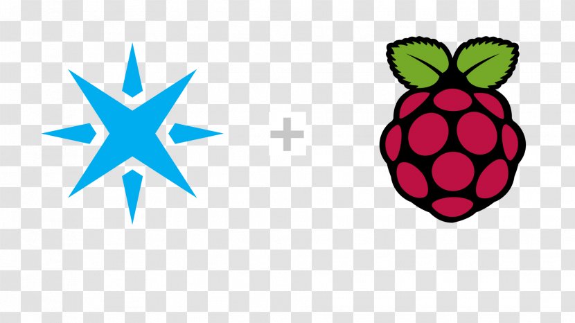 Raspberry Pi Raspbian Computer Cases & Housings Noobs Program - Raspberries Transparent PNG