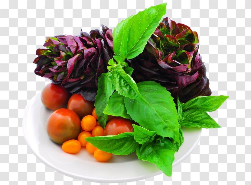Food Intolerance Macrobiotic Diet Raw Foodism Eating - Vegetarian - Cozinha Transparent PNG