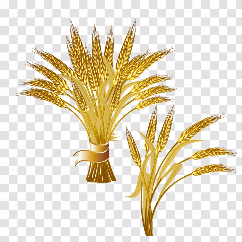 Common Wheat Ear Logo Clip Art - Crop - Bunch Of Golden Transparent PNG