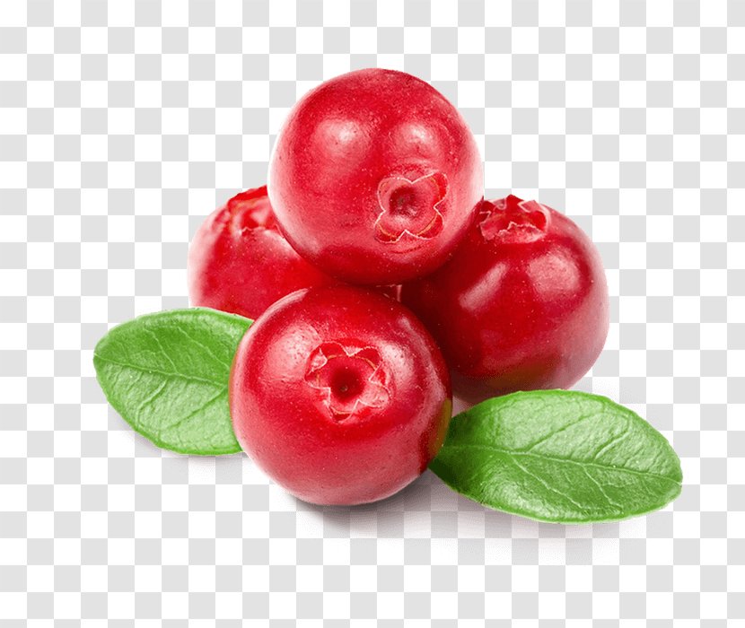 Cranberry Juice Jam Flavor - Berry Transparent PNG