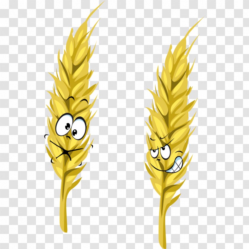 Wheat Cartoon Ear - Grass Family Transparent PNG