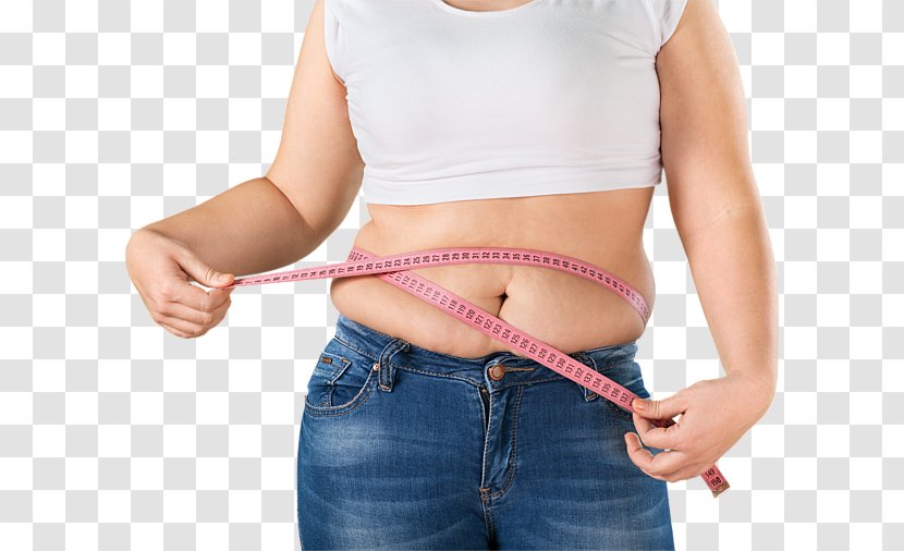Abdominal Obesity Adipose Tissue Abdomen Menopause Weight Gain - Silhouette - Cartoon Transparent PNG