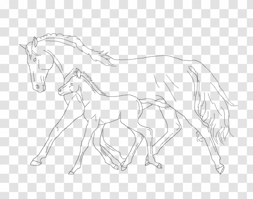 Mule Foal Stallion Colt Pony - Mustang Transparent PNG