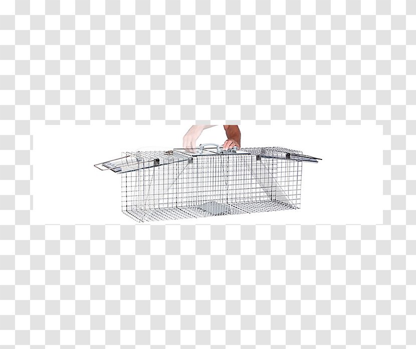 Cage Basket - Storage - Mouse Trap Transparent PNG