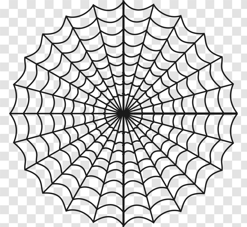 Spider Web Charlotte's Coloring Book - Australian Funnelweb Transparent PNG