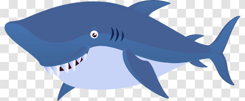 Sharks Animation 2021 Cartilaginous Fishes Fish Transparent PNG