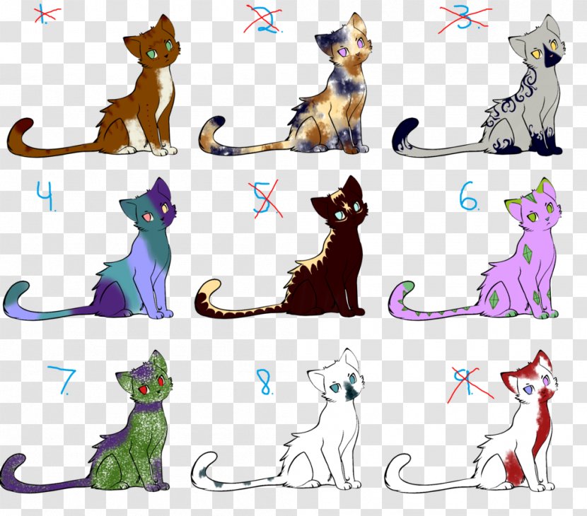 Kitten Whiskers Cat Warriors Canidae - Animal Transparent PNG