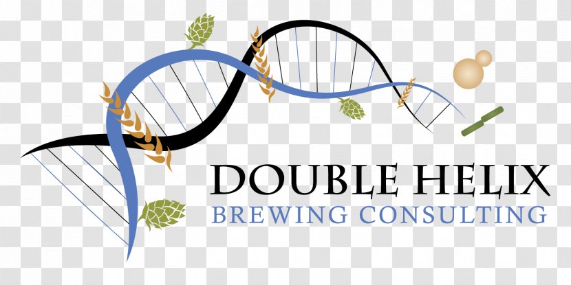 Logo Beer XANDRA DESIGN, LLC Brewery - Double Helix Transparent PNG