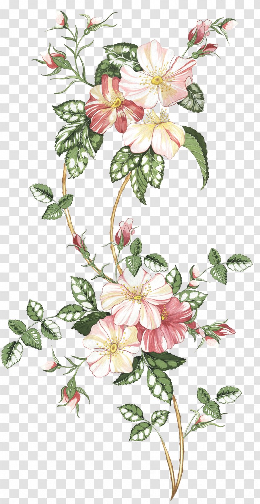 Floral Design Drawing Watercolor Painting Flower Sketch - Flora Transparent PNG