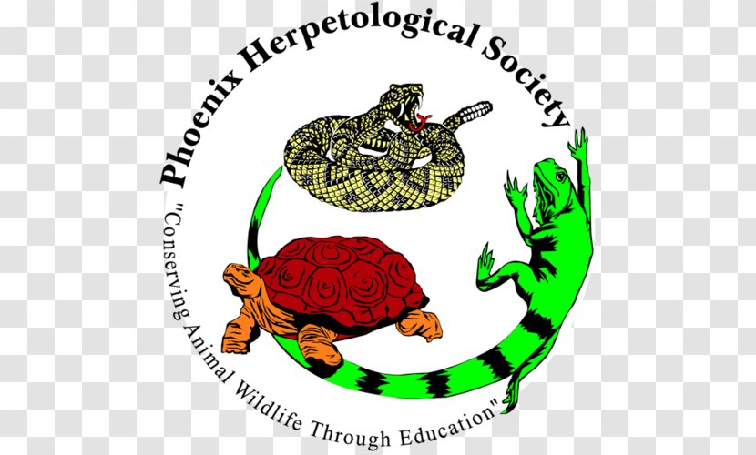 Phoenix Herpetological Society Toad Reptile Non-profit Organisation Snake - Discounts And Allowances Transparent PNG