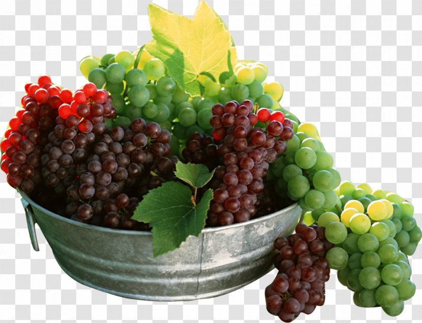 Fruit Grape Berry Nutrition Food Transparent PNG