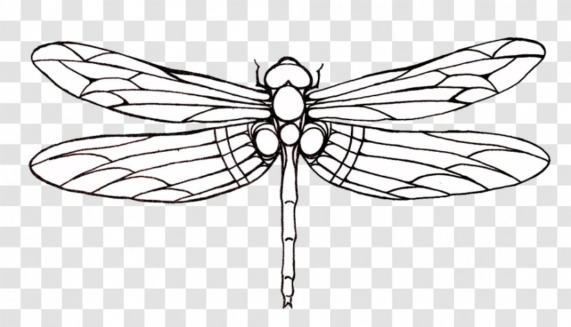 Tattoo Dragonfly Drawing Clip Art - Line - Tattoos Transparent Images Transparent PNG