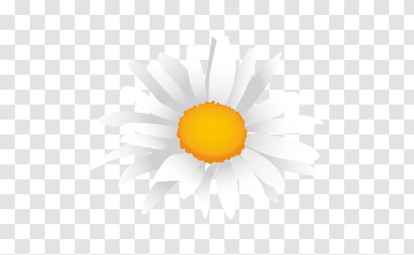 Common Sunflower Petal Yellow Desktop Wallpaper - Daisys Transparent PNG